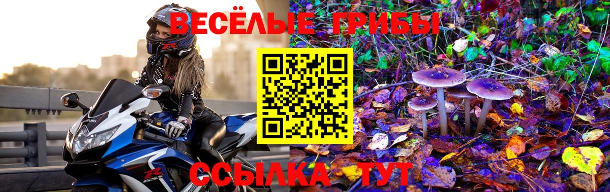 Псилоцибиновые грибы MAGIC MUSHROOMS Фролово